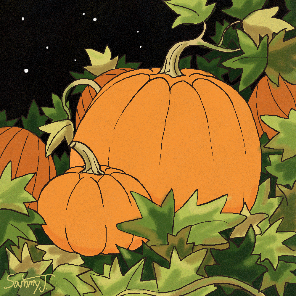 Drawing of pumpkins in a pumpkin patch.