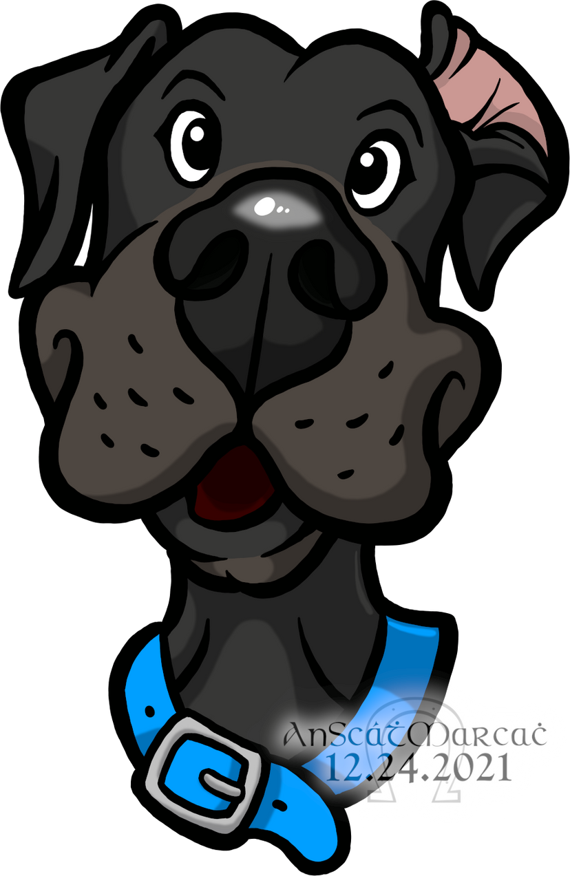 Drawing of a goofy black dog with a blue collar and his ear flipped back.