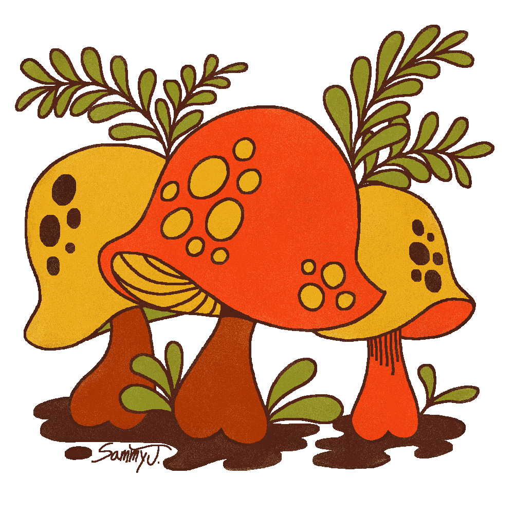 Drawing of three brown, orange, and yellow mushrooms.